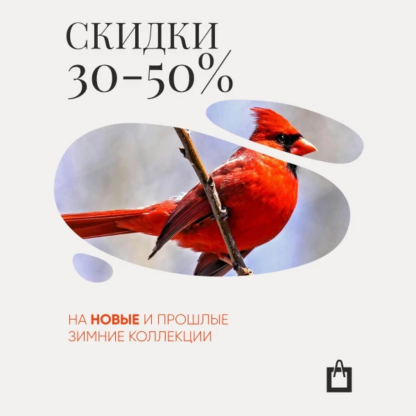 Фото новости